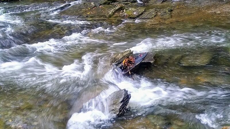 Goforth Creek Trailhead - Reliance, TN