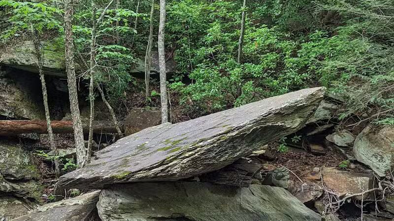 Goforth Creek Trailhead - Reliance, TN