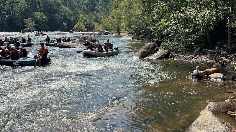 Mac Point Beach Recreation Area - Reliance, TN