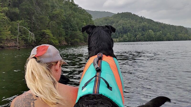 Public Access Boat Ramp - Reliance, TN
