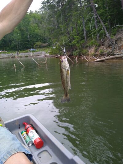 Public Access Boat Ramp - Reliance, TN
