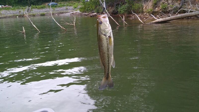 Public Access Boat Ramp - Reliance, TN