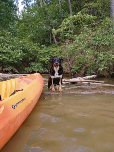 Public Access Boat Ramp - Reliance, TN
