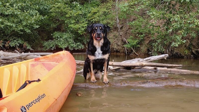 Public Access Boat Ramp - Reliance, TN