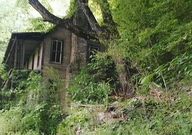 Reliance - Reliance, TN