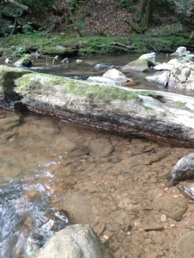 Reliance - Reliance, TN