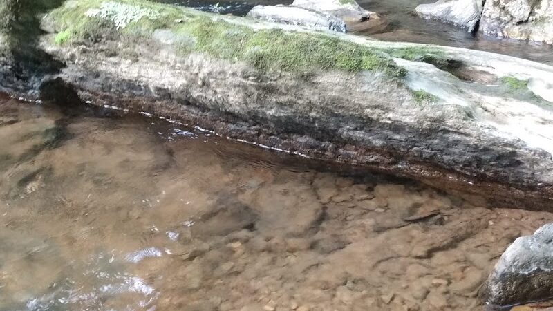 Reliance - Reliance, TN