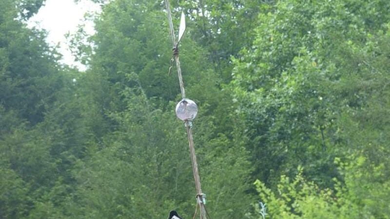 Reliance - Reliance, TN