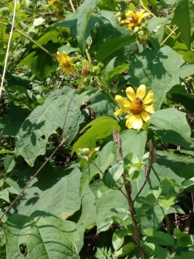 Reliance - Reliance, TN