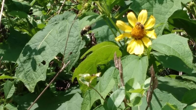 Reliance - Reliance, TN