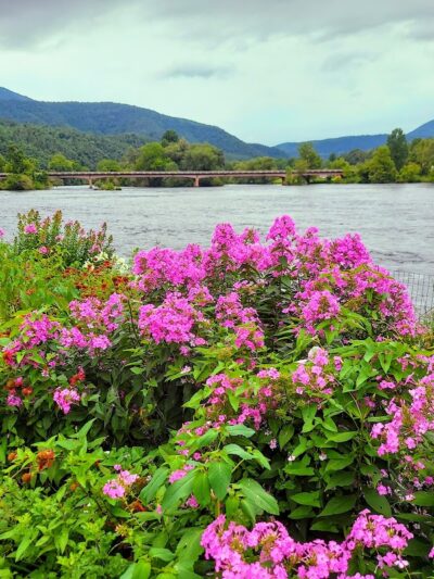 Reliance - Reliance, TN