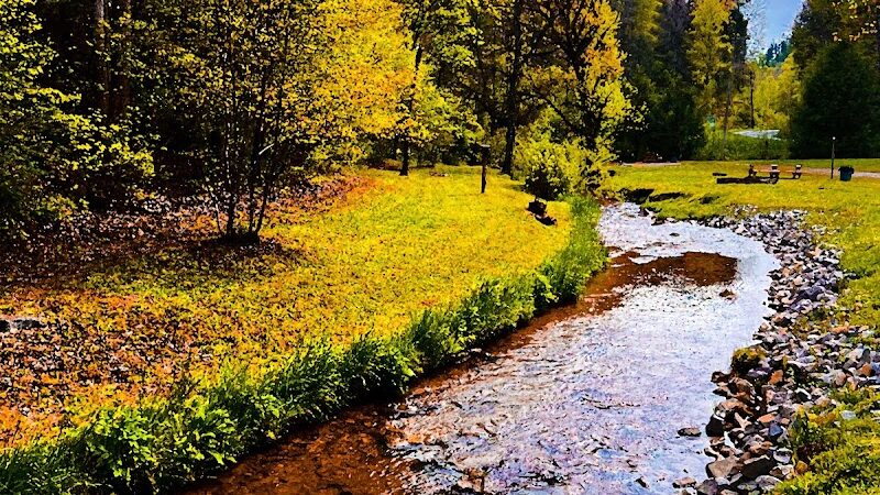 Reliance Fly & Tackle - Reliance, TN