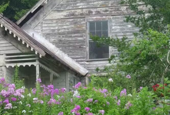 Reliance - Reliance, TN