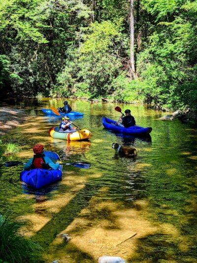 Towee Creek Recreation Area - Reliance, TN