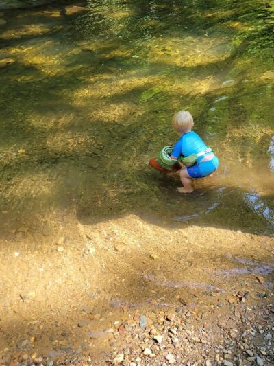 Towee Creek Recreation Area - Reliance, TN