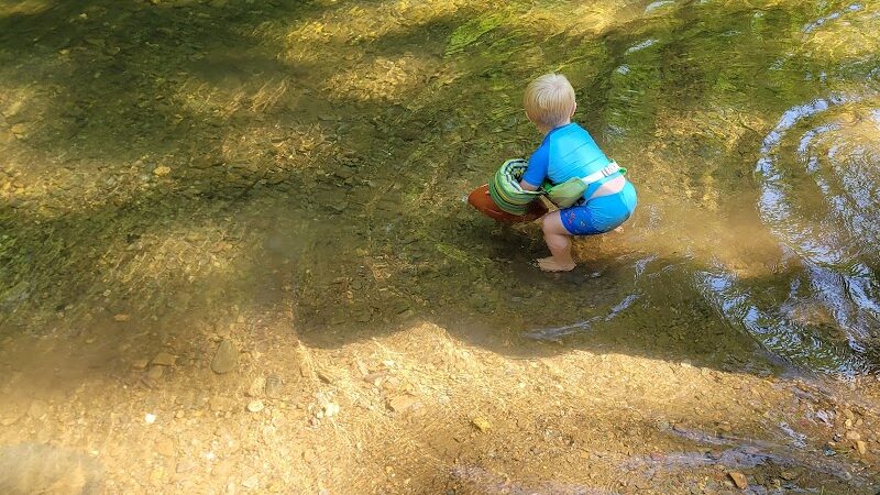 Towee Creek Recreation Area - Reliance, TN