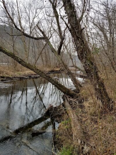 Towee Creek Recreation Area - Reliance, TN