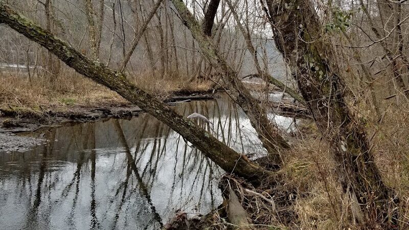 Towee Creek Recreation Area - Reliance, TN