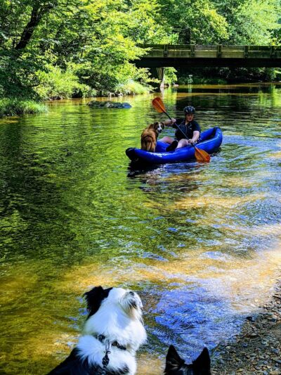 Towee Creek Recreation Area - Reliance, TN