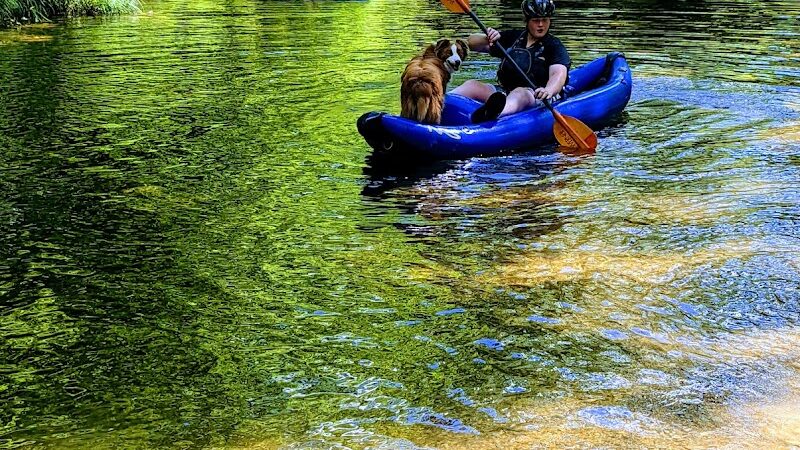 Towee Creek Recreation Area - Reliance, TN