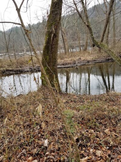 Towee Creek Recreation Area - Reliance, TN