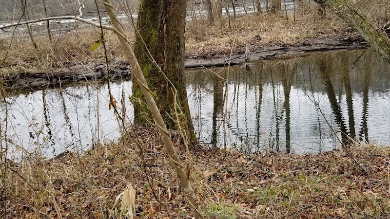 Towee Creek Recreation Area - Reliance, TN