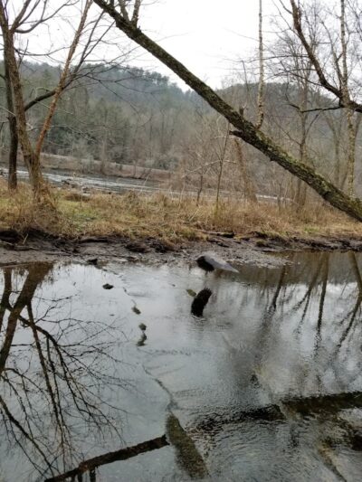 Towee Creek Recreation Area - Reliance, TN
