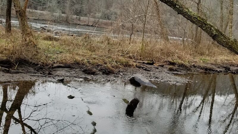 Towee Creek Recreation Area - Reliance, TN