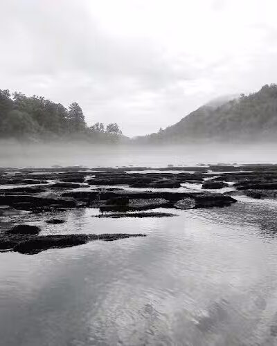 Towee Creek Recreation Area - Reliance, TN