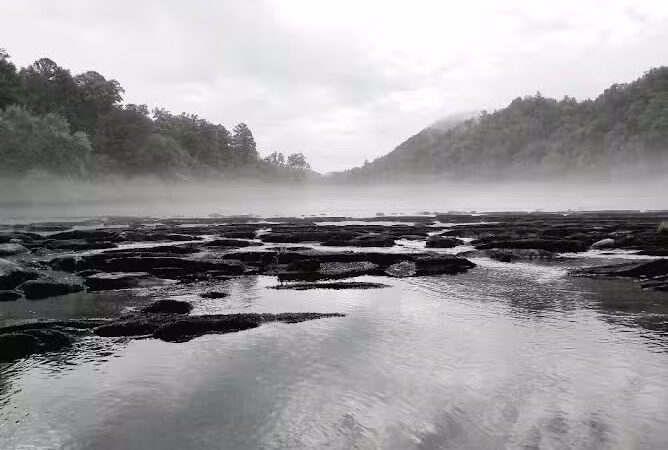 Towee Creek Recreation Area - Reliance, TN