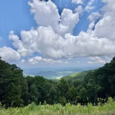 Towee Creek Recreation Area - Reliance, TN