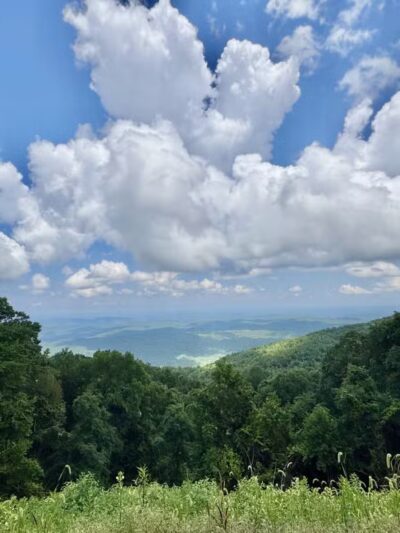 Towee Creek Recreation Area - Reliance, TN