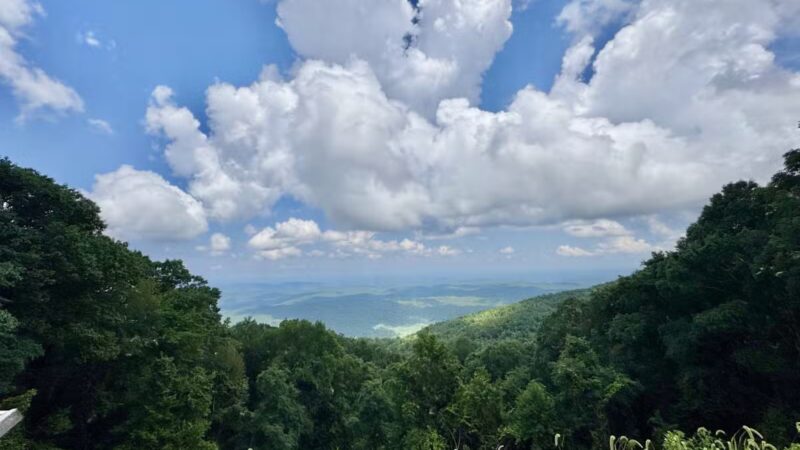Towee Creek Recreation Area - Reliance, TN