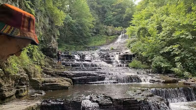 E.N. Huyck Preserve - Rensselaerville, NY