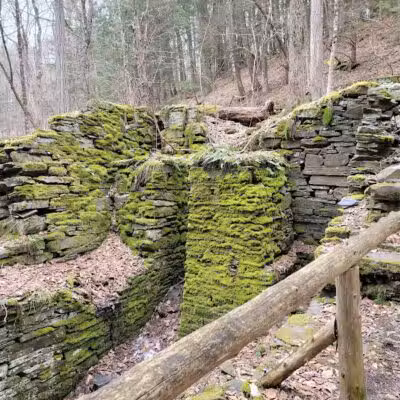 E.N. Huyck Preserve - Rensselaerville, NY