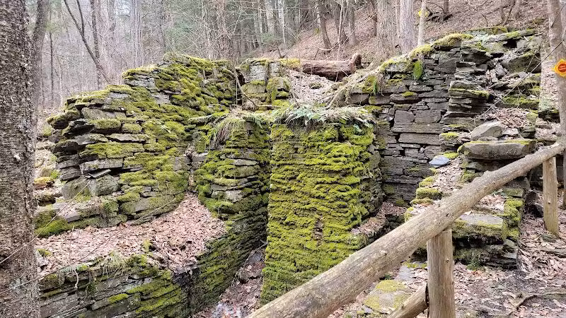 E.N. Huyck Preserve - Rensselaerville, NY