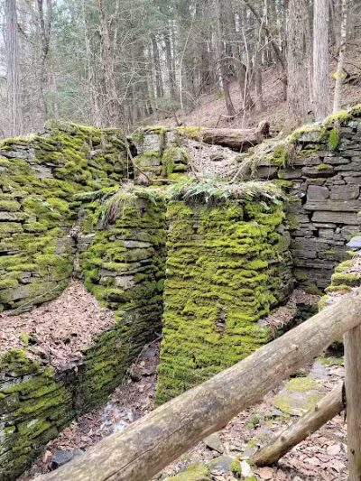 E.N. Huyck Preserve - Rensselaerville, NY