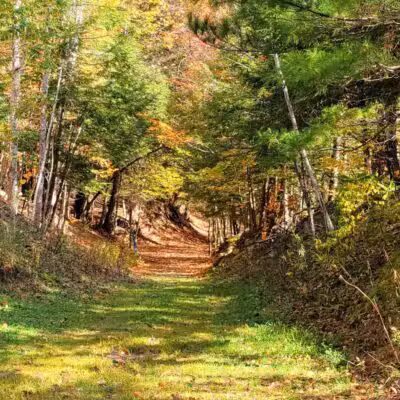 E.N. Huyck Preserve - Rensselaerville, NY