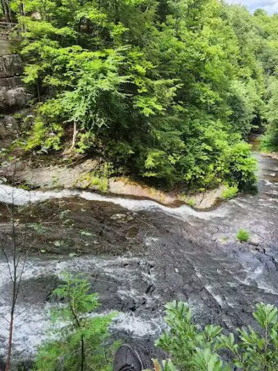 E.N. Huyck Preserve - Rensselaerville, NY