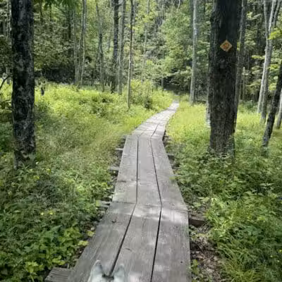 E.N. Huyck Preserve - Rensselaerville, NY