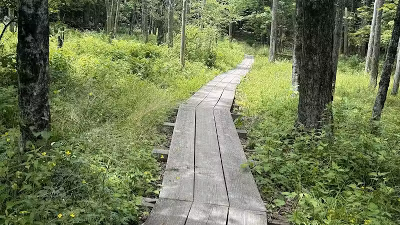 E.N. Huyck Preserve - Rensselaerville, NY
