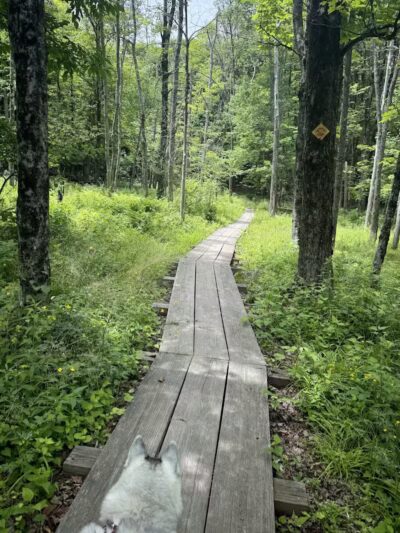 E.N. Huyck Preserve - Rensselaerville, NY