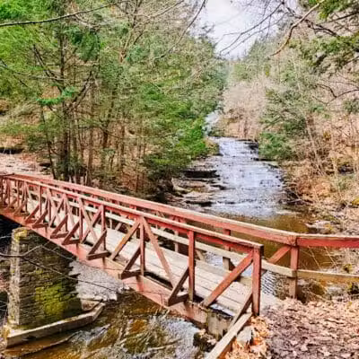 E.N. Huyck Preserve - Rensselaerville, NY