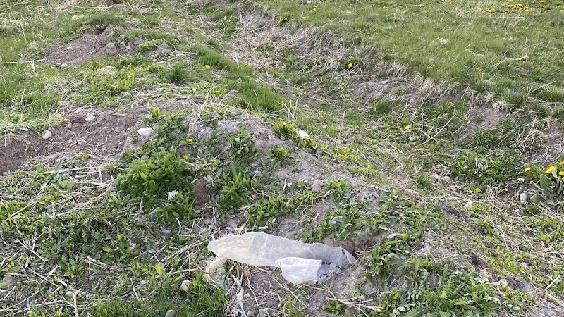 Nature Park Dog Park