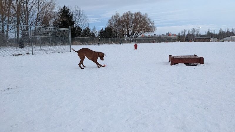 Nature Park Dog Park