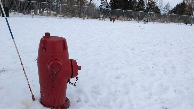 Nature Park Dog Park