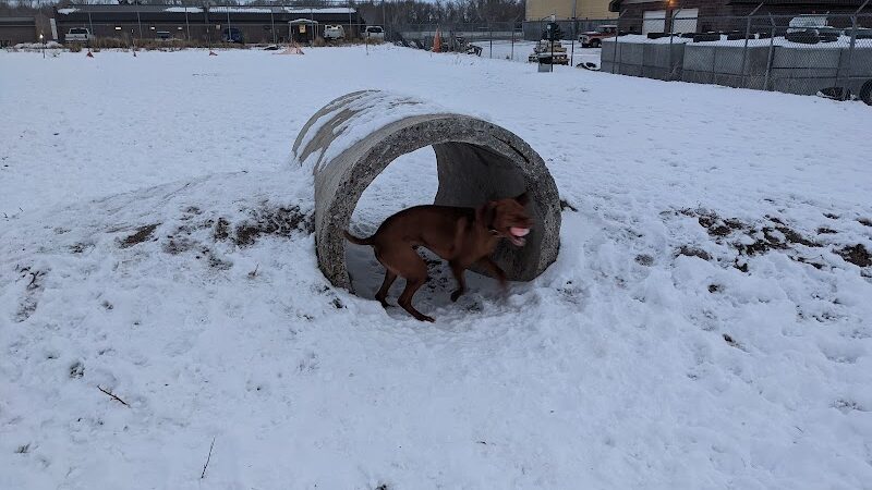 Nature Park Dog Park