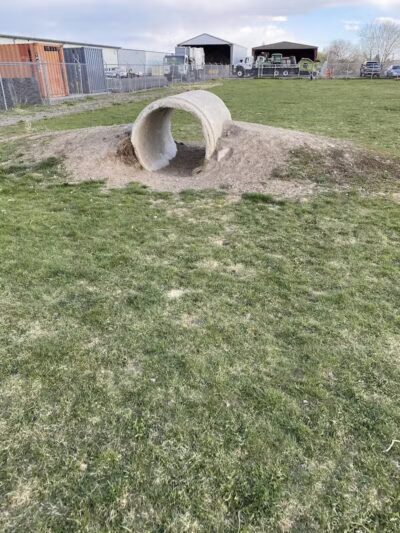 Nature Park Dog Park