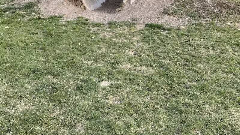 Nature Park Dog Park