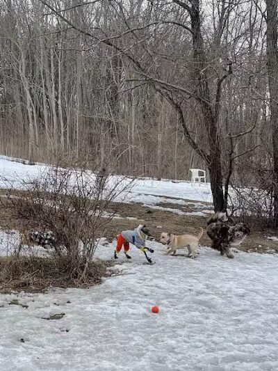 Rhinebeck & Red Hook Dog Park - Rhinebeck, NY